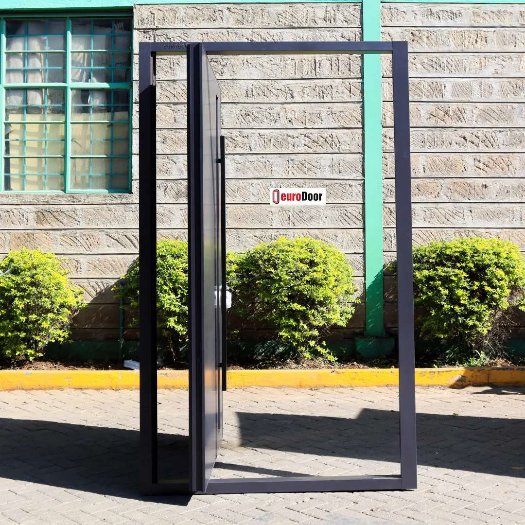 pivot door side view when open