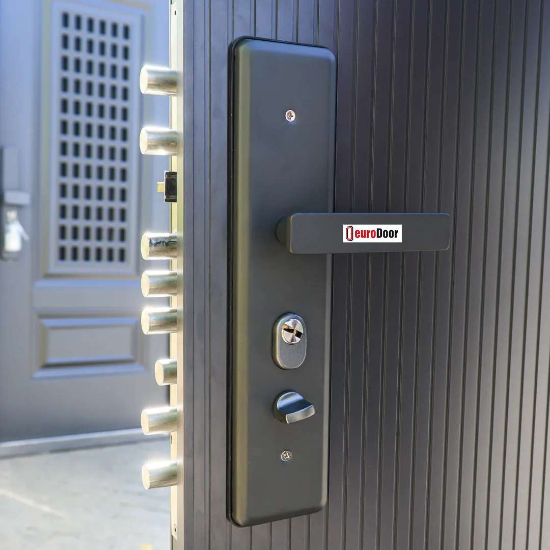 pivot door with multiple locking points